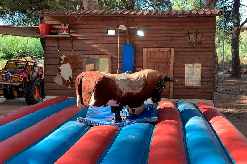 Mechanical bull